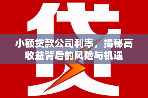 临汾小额贷款公司利率，揭秘高收益背后的风险与机遇