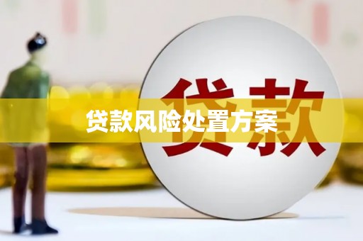 临汾贷款风险处置方案
