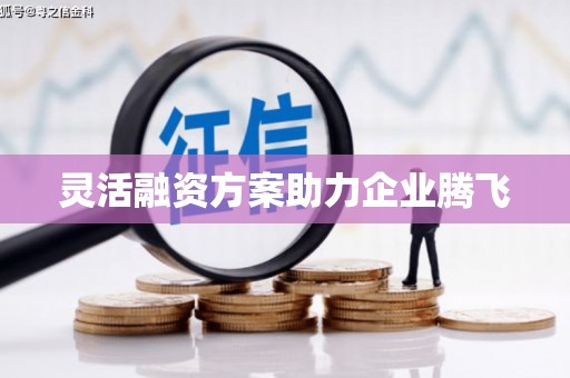 临汾灵活融资方案助力企业腾飞