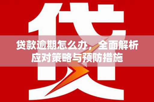 临汾贷款逾期怎么办，全面解析应对策略与预防措施