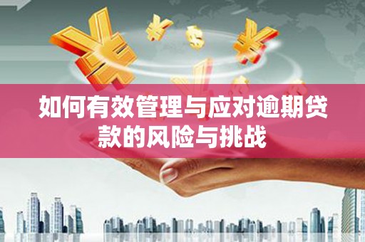 临汾如何有效管理与应对逾期贷款的风险与挑战