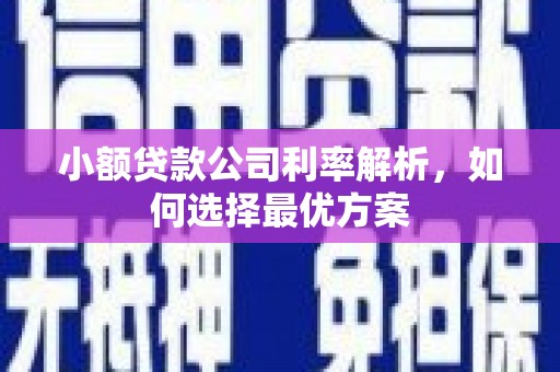 临汾小额贷款公司利率解析，如何选择最优方案