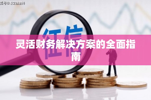 临汾灵活财务解决方案的全面指南