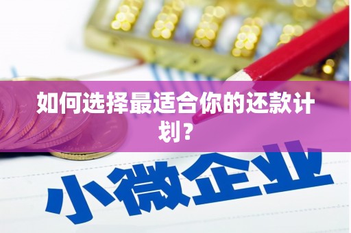 临汾如何选择最适合你的还款计划？