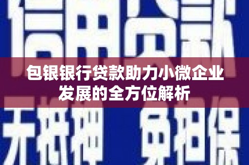 临汾包银银行贷款助力小微企业发展的全方位解析