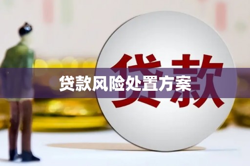 临汾贷款风险处置方案