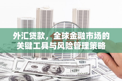 临汾外汇贷款，全球金融市场的关键工具与风险管理策略