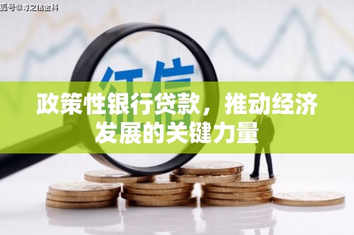 临汾政策性银行贷款，推动经济发展的关键力量