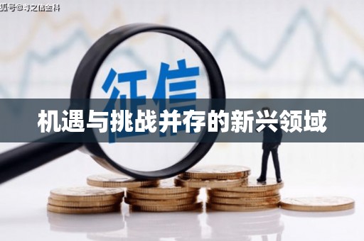 临汾机遇与挑战并存的新兴领域