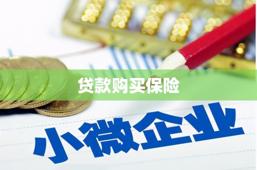 临汾贷款购买保险